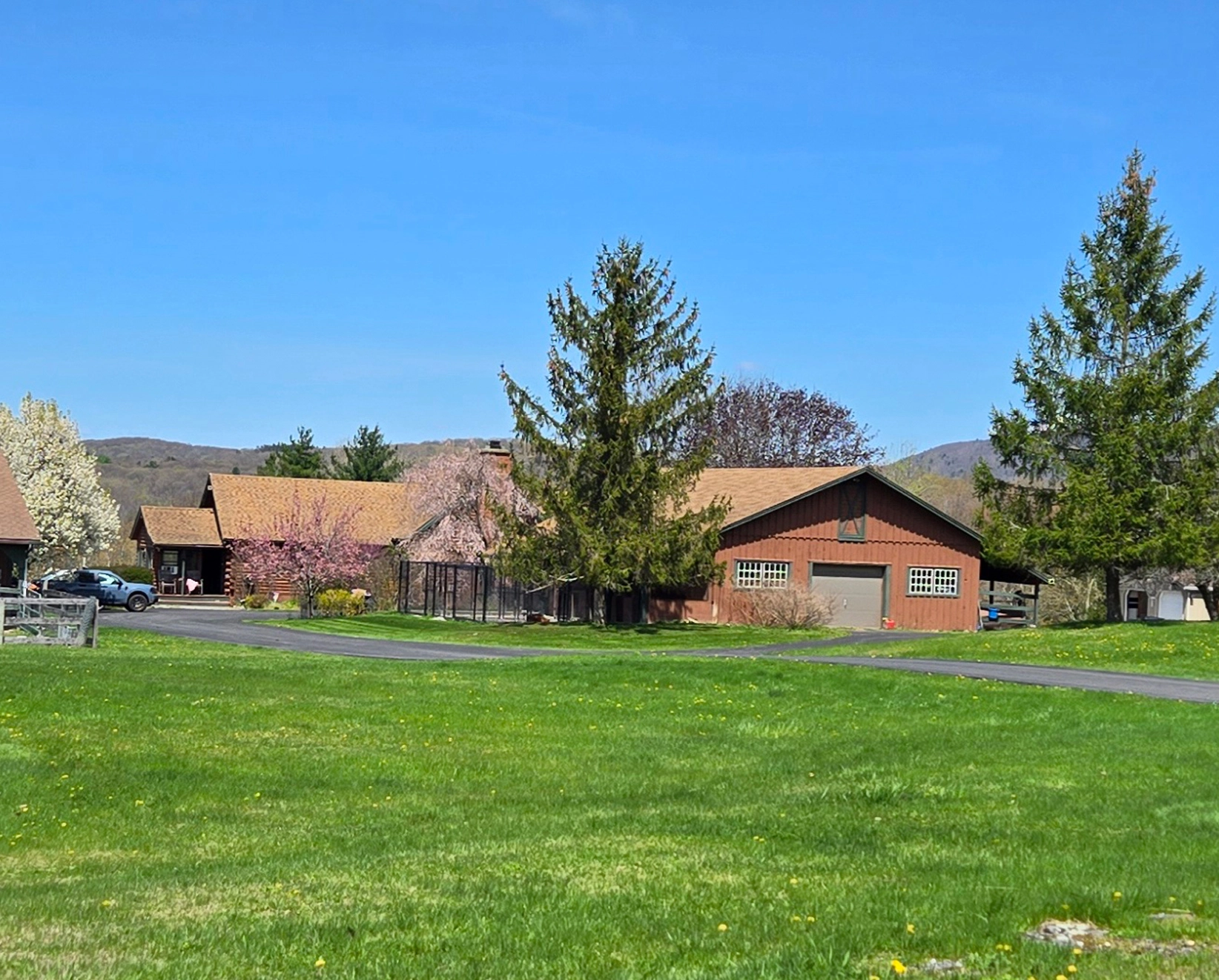Cavalier Puppies Stanfordville, NY